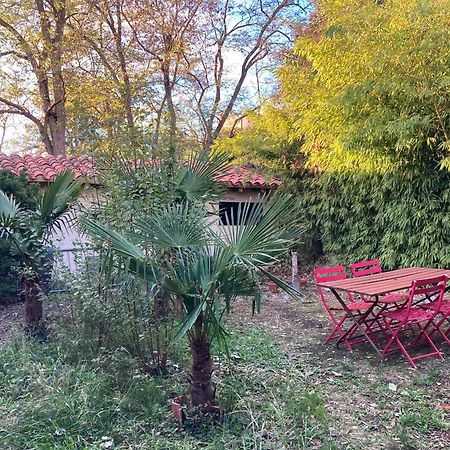 Un Jardin En Ville Toulouse Luaran gambar