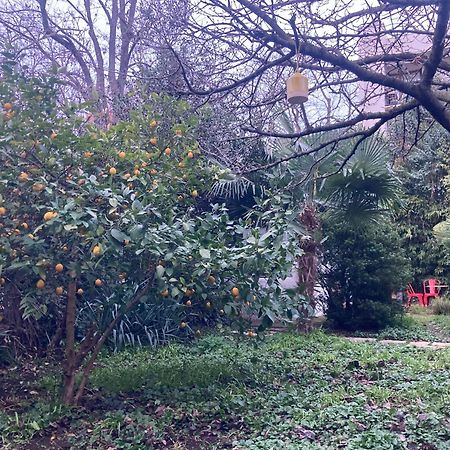 Un Jardin En Ville Toulouse Luaran gambar