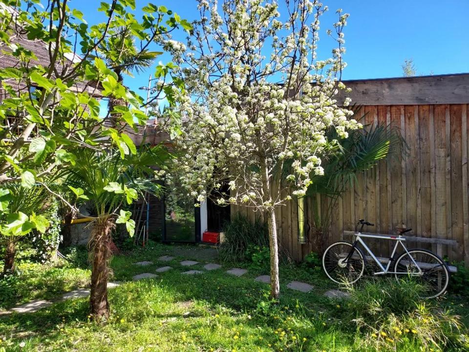 Un Jardin En Ville Toulouse Luaran gambar